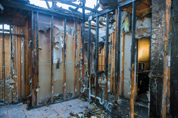 Professional Fire Damage Removal technician working in Plainedge, NY